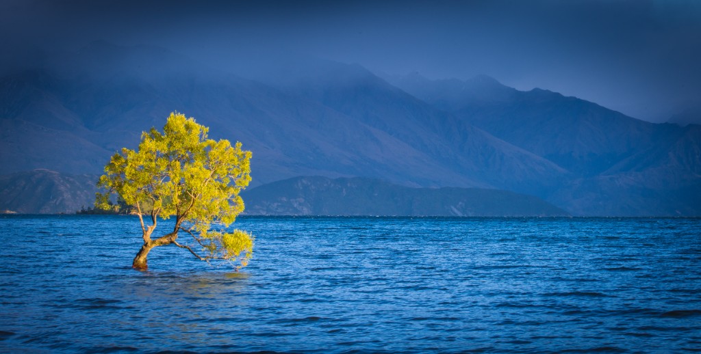 Wanaka Car Rental Guide
