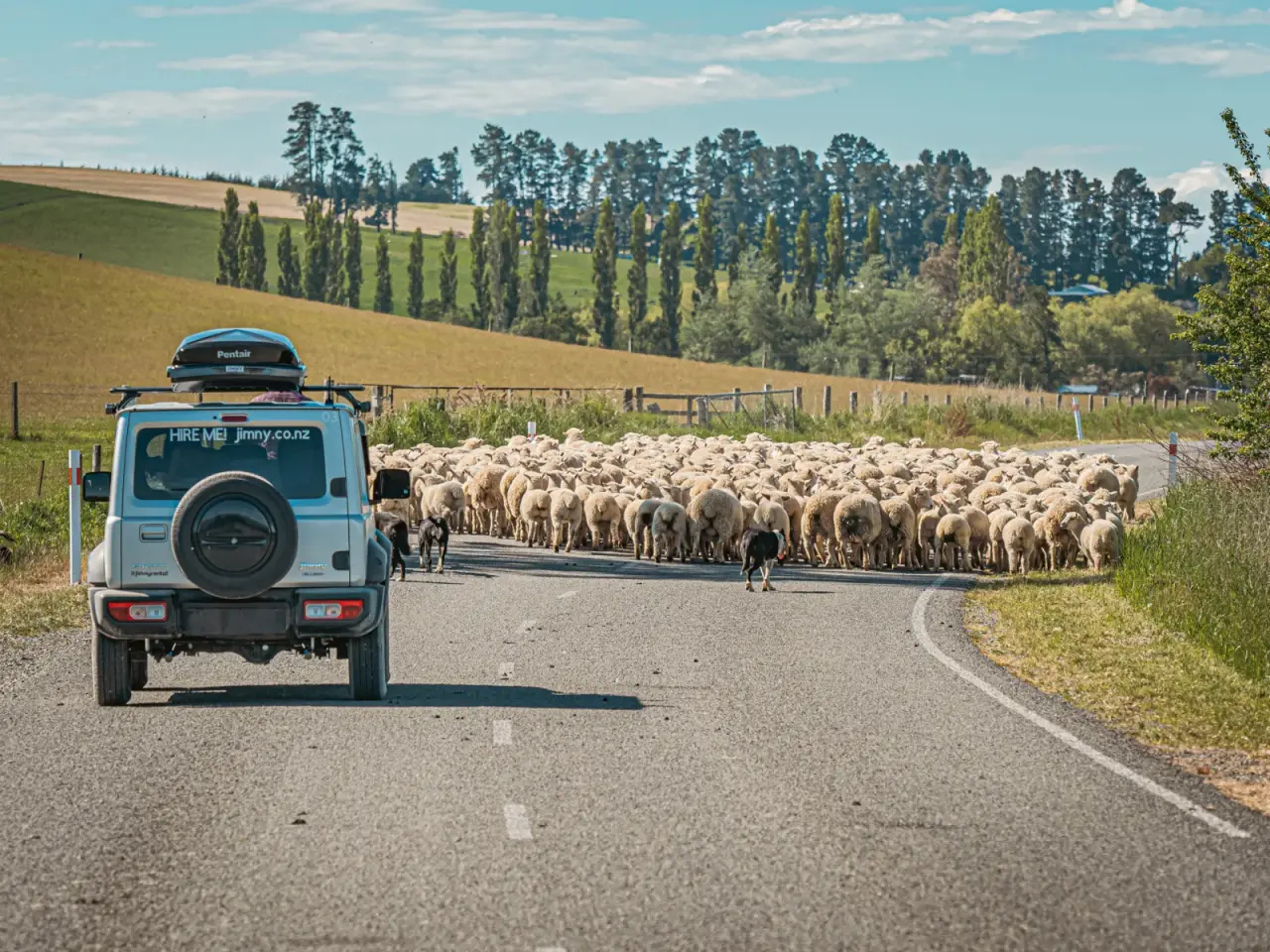 Suzuki Jimny rental in outdoor setting. – Jimny Rentals.